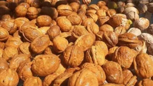 Kırşehir'in hangi meyvesi meşhur?